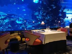 -迪拜帆船酒店海底餐厅