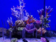 -多彩贵州城极地海洋世界