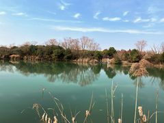 -苏州太湖国家湿地公园