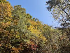 -本溪汤沟绿石谷森林公园