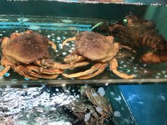 -阿马蛋汤·宁波小海鲜(总店)