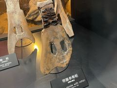 -河姆渡遗址博物馆