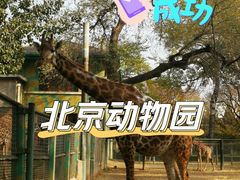 -北京动物园