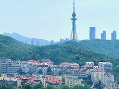 -信号山公园