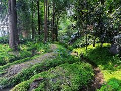 -成都市活水公园