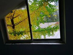 -三亚凤凰水城凯莱度假酒店