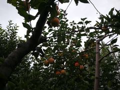 -怀来官厅水库
