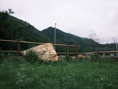 -下河湾农家乐