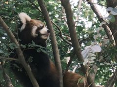 -宁波野生动物园