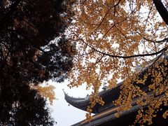-西园戒幢律寺
