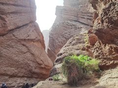 -天山神秘大峡谷