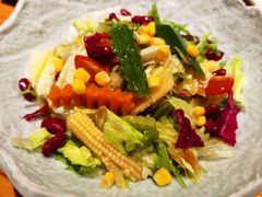 有机蔬菜沙拉-鲁山人日本料理·放题·套餐(松卫北路店)