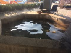 -南宫温泉水世界