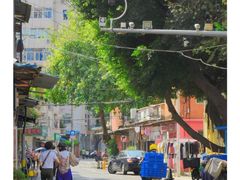 -溪岸路花鸟市场