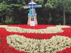 -上海共青森林公园