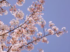 -苏州上方山国家森林公园