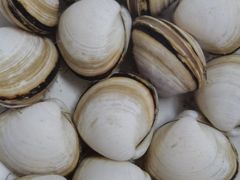 -三江购物(锦诚店)