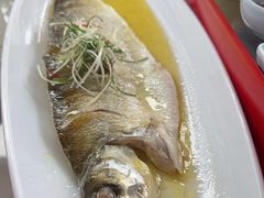 -比斯特上海购物村精品奥特莱斯