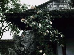 -耦园