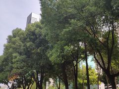-西北湖绿化广场