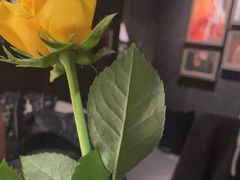 -望京辣宴·古法川菜(望京店)