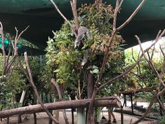 -可伦宾野生动物保护区