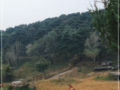 -沈阳森林动物园