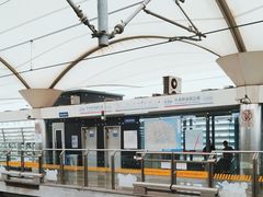 -外高桥保税区南(地铁站)