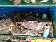-蚝专家(北滘店)