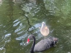-北京世界公园