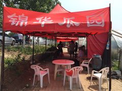 -庞各庄西瓜蔬菜采摘园·锦华瓜园