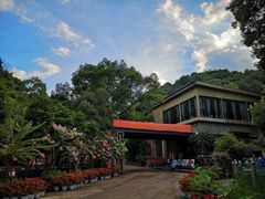 -天怡·鱼工厂(梅溪湖店)