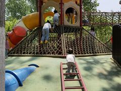 -合肥滨湖国家森林公园