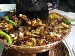-青叶202都市餐厅(迪诺水镇店)