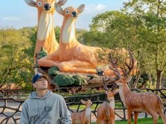 -南京银杏湖乐园