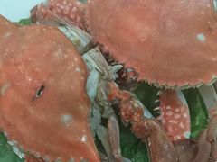 -威海渔村(黄兴路店)