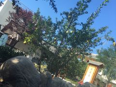 -华山御温泉度假村