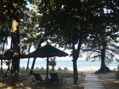 -三亚海棠湾万丽度假酒店