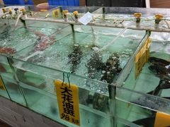 -寻味顺德·南记酒家·传统顺德菜·鱼生(广源路店)