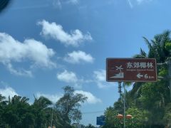 -东郊椰林