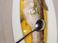 鸡油蒸白水鱼-漢舍中国菜馆(889广场店)