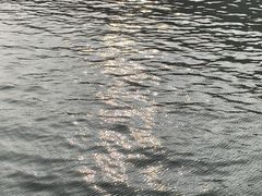 -小湾茶楼