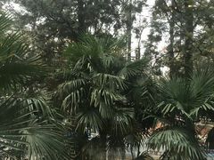 -翠湖湾海鲜音乐餐厅