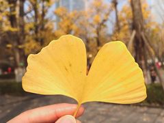 -两江幸福广场