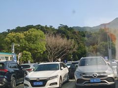-杨梅坑