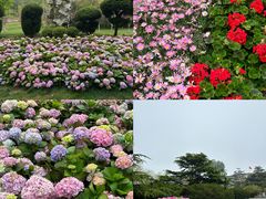 -棒棰岛宾馆景区