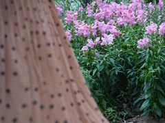 -文华公园(禅城区)