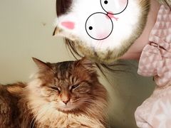 -佳怡动物医院·平价24小时·猫专科骨外科