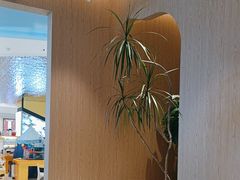 -耳道精致采耳(运达汇店)