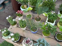 -三圣花乡旅游区